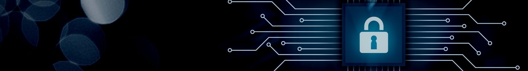 Картинка Обеспечение информационной безопасности предприятия в Российском фонде "Экономика и управление" Курс "Обеспечение информационной безопасности предприятия" - обучение от фонда «Экономика и Управление»