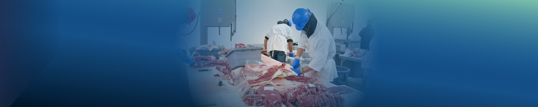 Картинка Мясная продукция: технология, качество и безопасность. Новое в техническом регулировании и актуальная практика в Российском фонде "Экономика и управление" Курс "Мясная продукция: технология, качество и безопасность. Новое в техническом регулировании и актуальная практика" - обучение от фонда «Экономика и Управление»